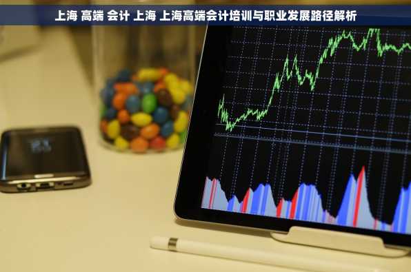 上海 高端 会计 上海 上海高端会计培训与职业发展路径解析