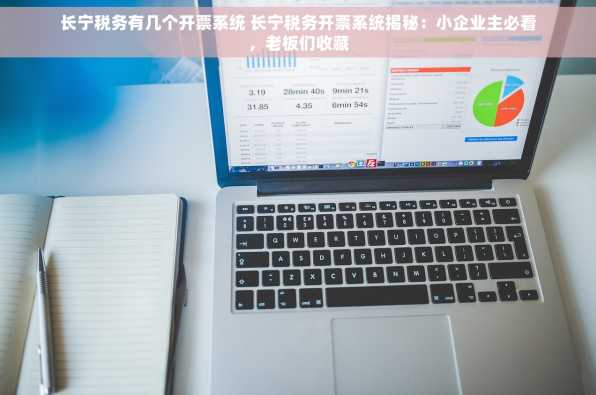 长宁税务有几个开票系统 长宁税务开票系统揭秘：小企业主必看，老板们收藏