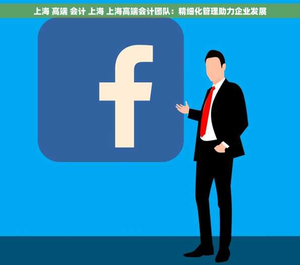 上海 高端 会计 上海 上海高端会计团队：精细化管理助力企业发展