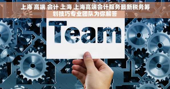 上海 高端 会计 上海 上海高端会计服务最新税务筹划技巧专业团队为你解答