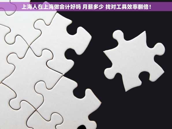 上海人在上海做会计好吗 月薪多少 找对工具效率翻倍！