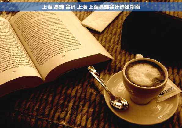 上海 高端 会计 上海 上海高端会计选择指南