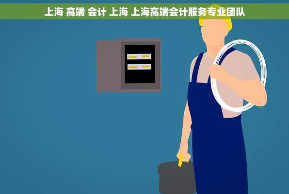 上海 高端 会计 上海 上海高端会计服务专业团队