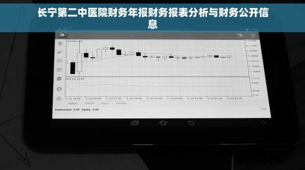 长宁第二中医院财务年报财务报表分析与财务公开信息