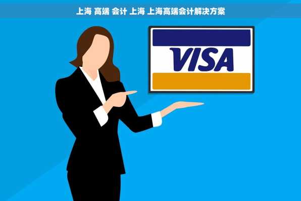 上海 高端 会计 上海 上海高端会计解决方案
