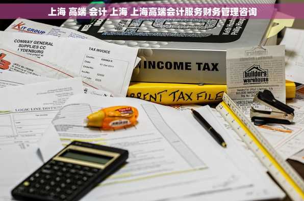 上海 高端 会计 上海 上海高端会计服务财务管理咨询