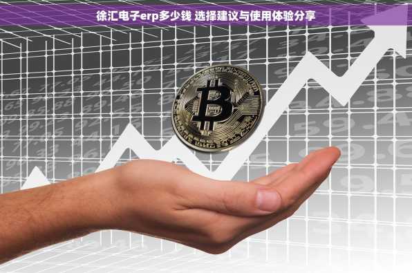 徐汇电子erp多少钱 选择建议与使用体验分享