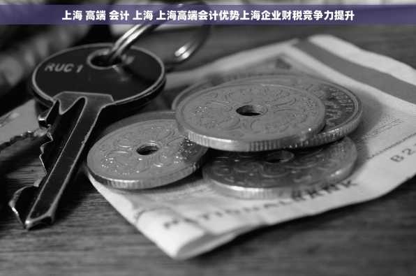 上海 高端 会计 上海 上海高端会计优势上海企业财税竞争力提升