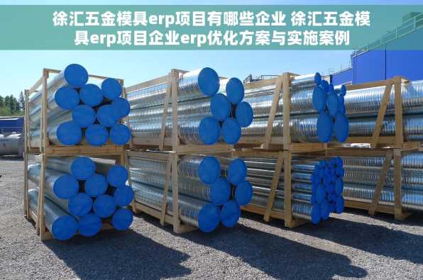 徐汇五金模具erp项目有哪些企业 徐汇五金模具erp项目企业erp优化方案与实施案例