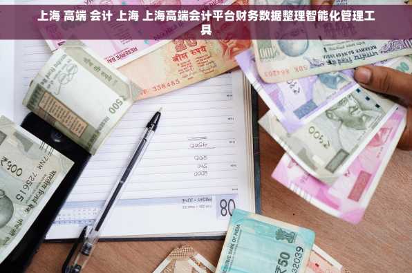 上海 高端 会计 上海 上海高端会计平台财务数据整理智能化管理工具