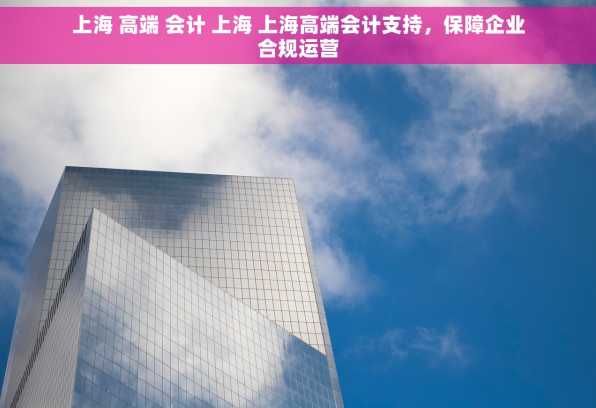 上海 高端 会计 上海 上海高端会计支持，保障企业合规运营