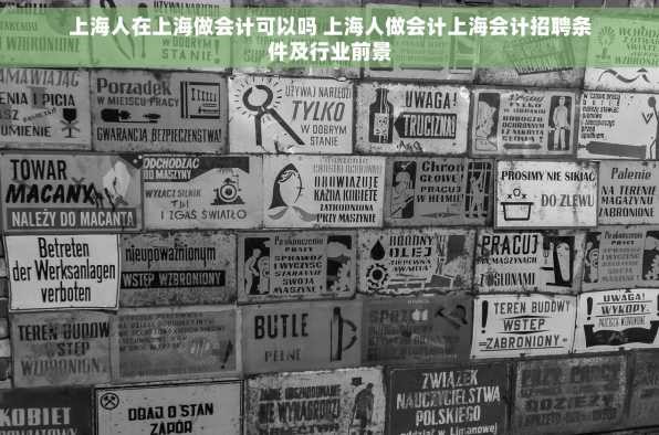 上海人在上海做会计可以吗 上海人做会计上海会计招聘条件及行业前景