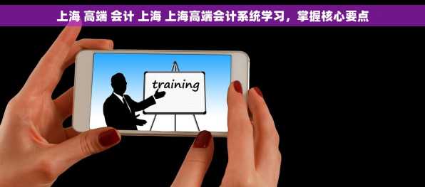 上海 高端 会计 上海 上海高端会计系统学习，掌握核心要点