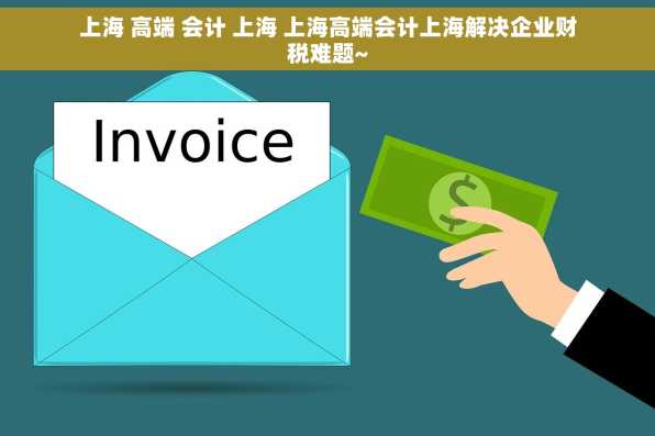 上海 高端 会计 上海 上海高端会计上海解决企业财税难题~
