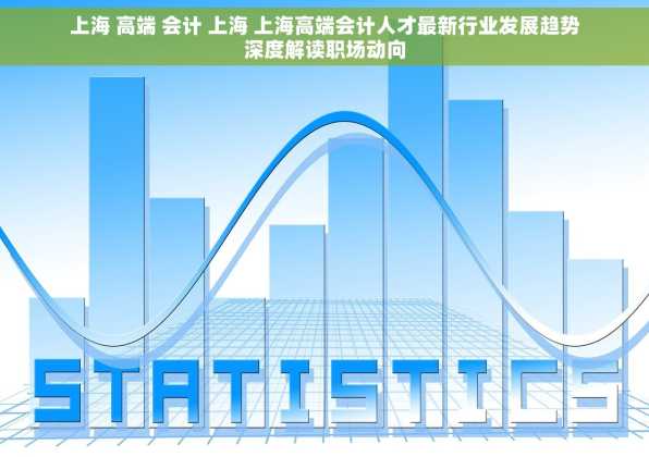 上海 高端 会计 上海 上海高端会计人才最新行业发展趋势深度解读职场动向