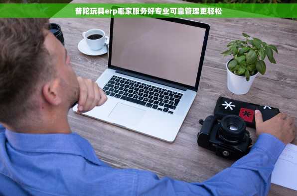 普陀玩具erp哪家服务好专业可靠管理更轻松