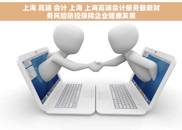上海 高端 会计 上海 上海高端会计服务最新财务风险防控保障企业健康发展