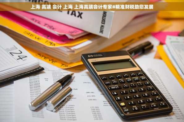 上海 高端 会计 上海 上海高端会计专家#精准财税助您发展