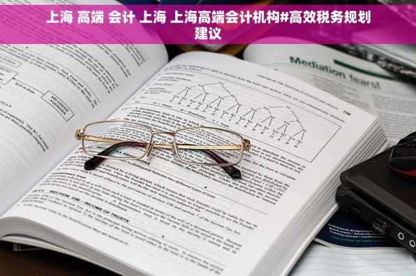 上海 高端 会计 上海 上海高端会计机构#高效税务规划建议