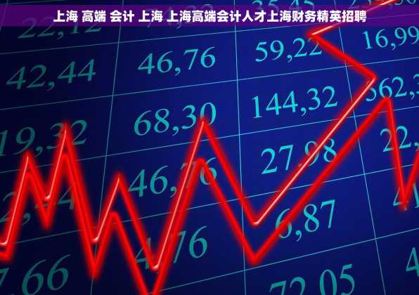 上海 高端 会计 上海 上海高端会计人才上海财务精英招聘