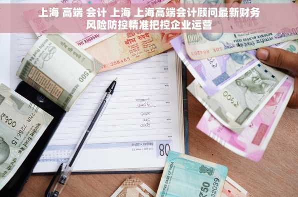 上海 高端 会计 上海 上海高端会计顾问最新财务风险防控精准把控企业运营