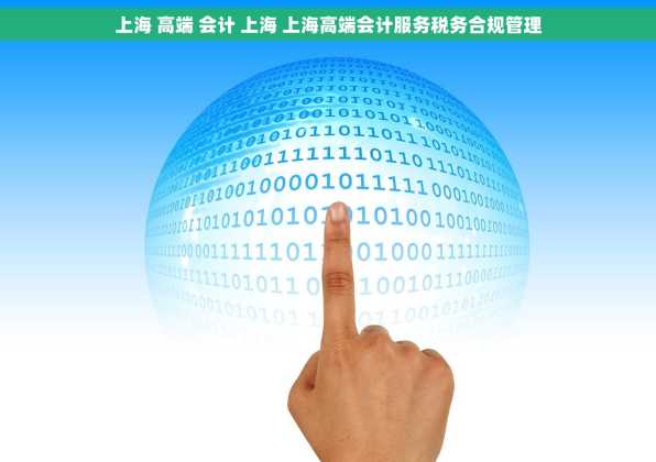 上海 高端 会计 上海 上海高端会计服务税务合规管理