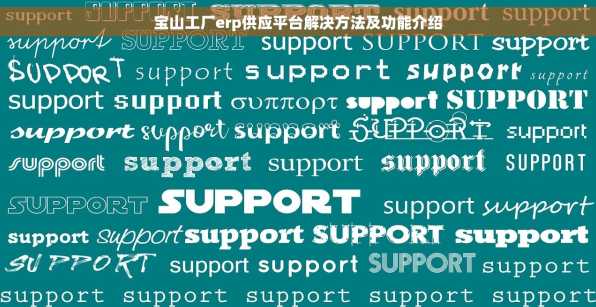 宝山工厂erp供应平台解决方法及功能介绍