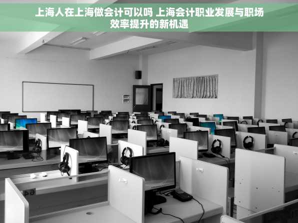 上海人在上海做会计可以吗 上海会计职业发展与职场效率提升的新机遇