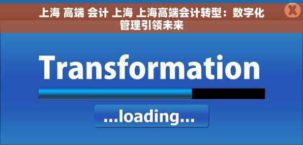 上海 高端 会计 上海 上海高端会计转型：数字化管理引领未来