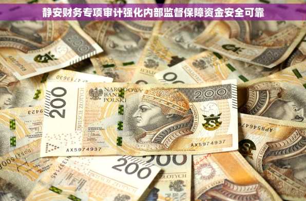 静安财务专项审计强化内部监督保障资金安全可靠