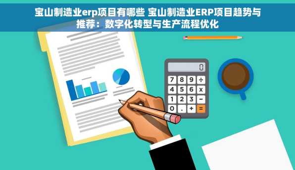 宝山制造业erp项目有哪些 宝山制造业ERP项目趋势与推荐：数字化转型与生产流程优化