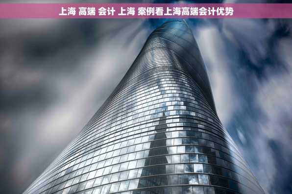 上海 高端 会计 上海 案例看上海高端会计优势