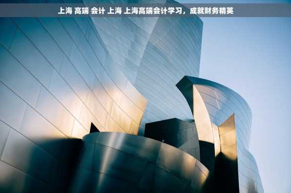 上海 高端 会计 上海 上海高端会计学习，成就财务精英