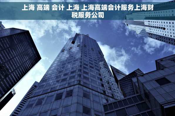上海 高端 会计 上海 上海高端会计服务上海财税服务公司
