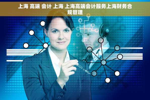 上海 高端 会计 上海 上海高端会计服务上海财务合规管理