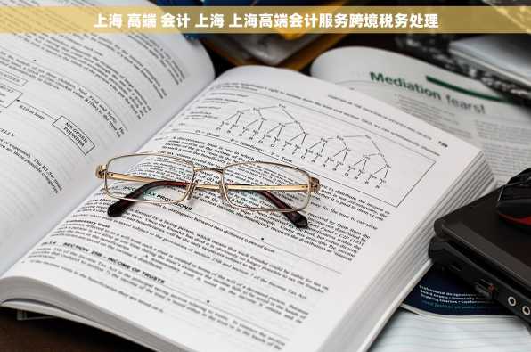 上海 高端 会计 上海 上海高端会计服务跨境税务处理
