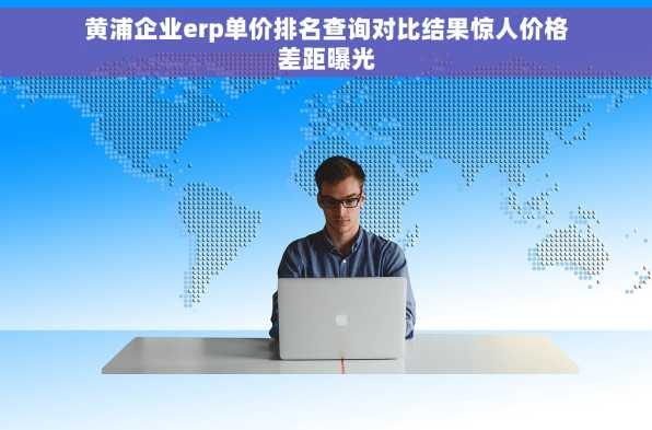 黄浦企业erp单价排名查询对比结果惊人价格差距曝光