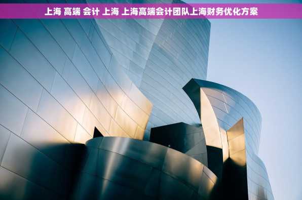 上海 高端 会计 上海 上海高端会计团队上海财务优化方案
