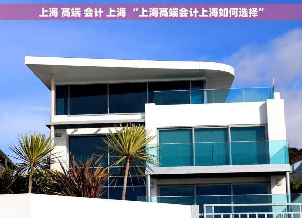 上海 高端 会计 上海 “上海高端会计上海如何选择”