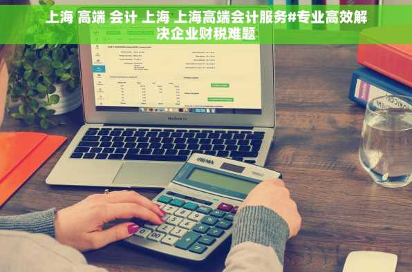 上海 高端 会计 上海 上海高端会计服务#专业高效解决企业财税难题