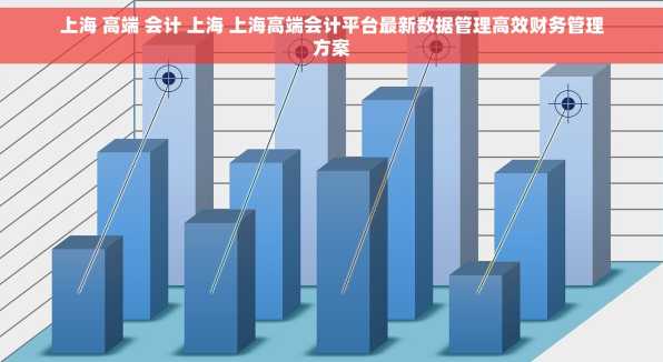 上海 高端 会计 上海 上海高端会计平台最新数据管理高效财务管理方案