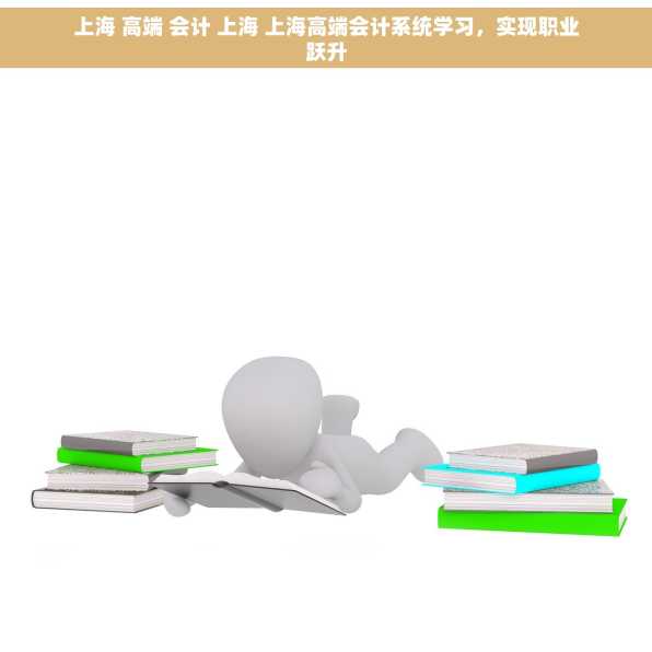 上海 高端 会计 上海 上海高端会计系统学习，实现职业跃升