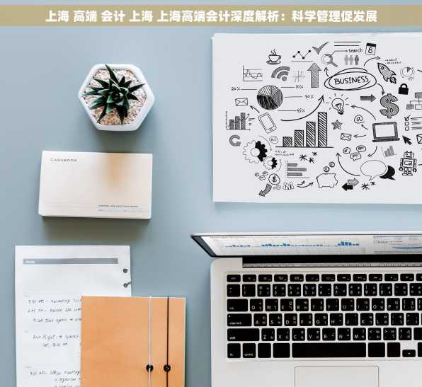 上海 高端 会计 上海 上海高端会计深度解析：科学管理促发展