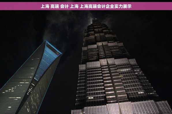 上海 高端 会计 上海 上海高端会计企业实力展示