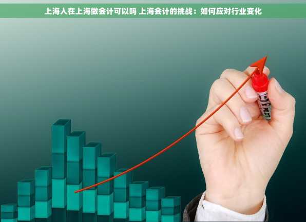 上海人在上海做会计可以吗 上海会计的挑战：如何应对行业变化
