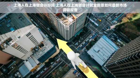 上海人在上海做会计好吗 上海人在上海做会计就业前景如何最新市场调研报告