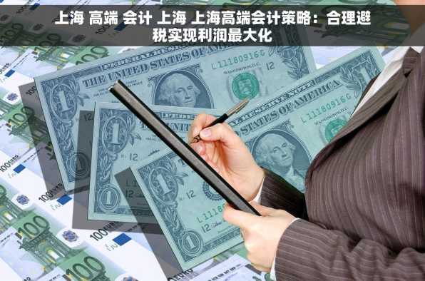 上海 高端 会计 上海 上海高端会计策略：合理避税实现利润最大化
