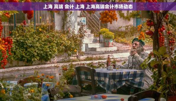 上海 高端 会计 上海 上海高端会计市场动态
