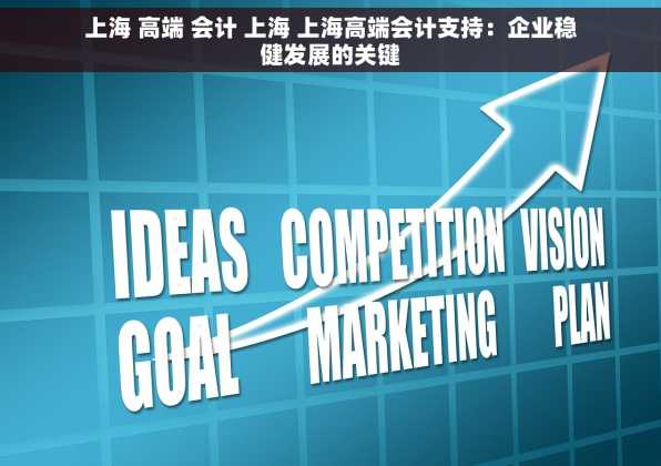 上海 高端 会计 上海 上海高端会计支持：企业稳健发展的关键