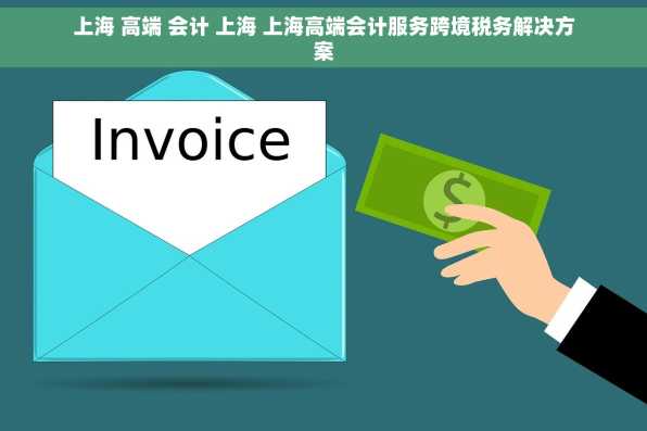 上海 高端 会计 上海 上海高端会计服务跨境税务解决方案